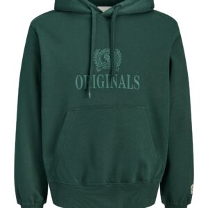 Ανδρικό φούτερ με κουκούλα Frederiksberg Monogram πράσινο – JACK & JONES